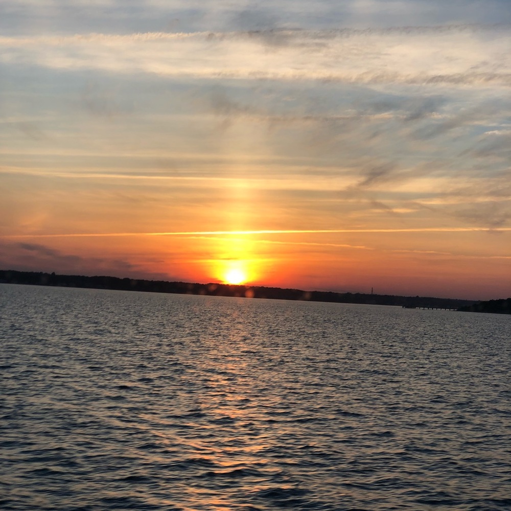 Meet your Posher, Julia